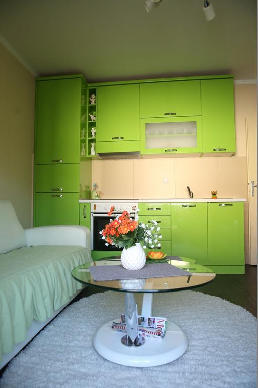 Apartments Lukic Vrnjačka Banja Extérieur photo